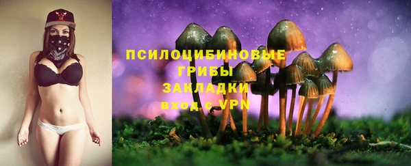 герыч Новозыбков