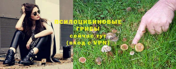 соль ск Абдулино