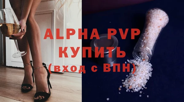 стафф Новодвинск