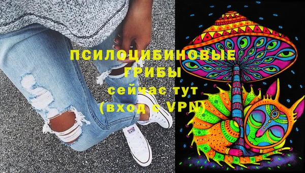 молекула духа Абинск