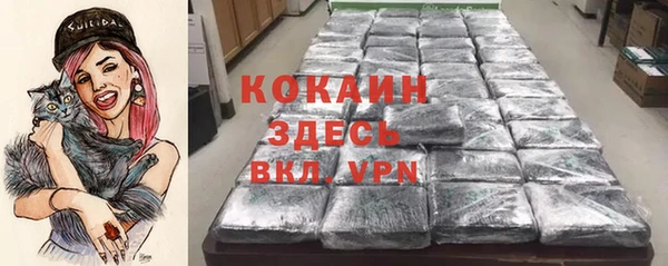спиды Абаза